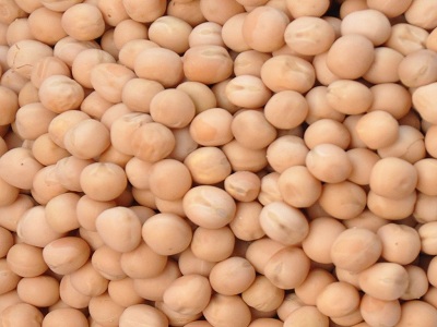 White Peas White Peas